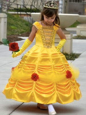 Princess Dress Princess Dress
