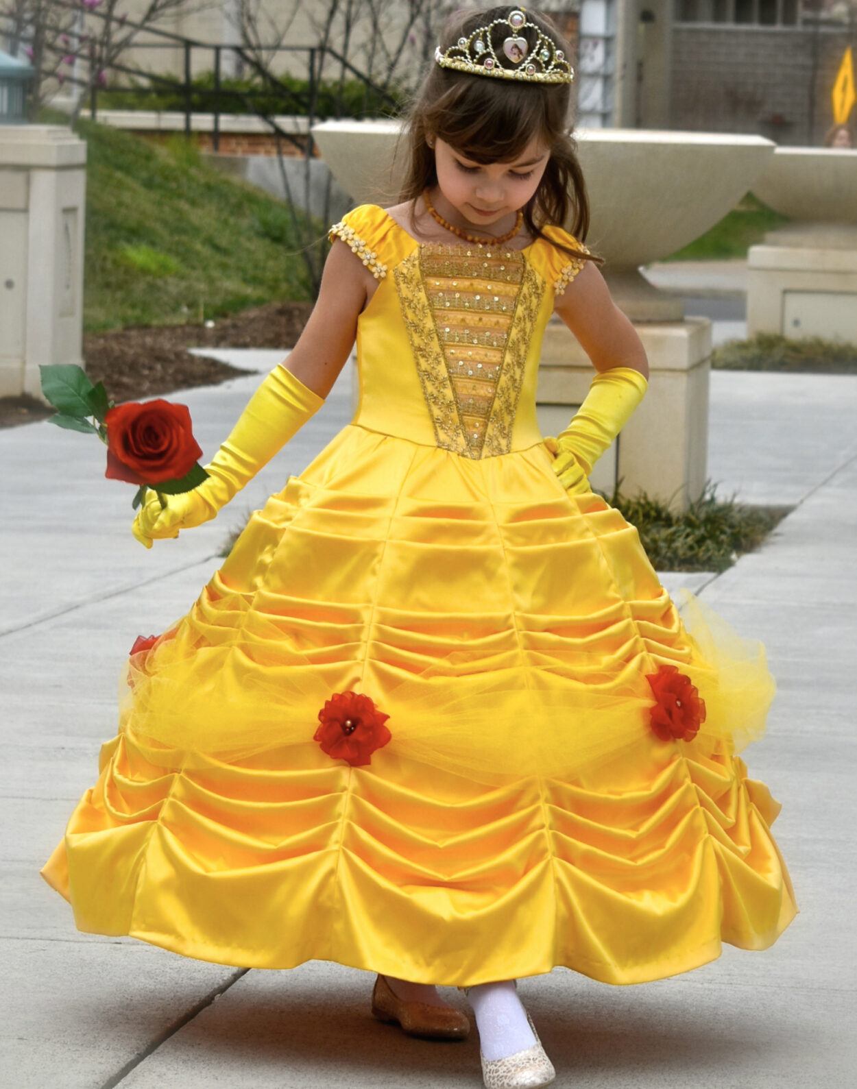 Princess Dress