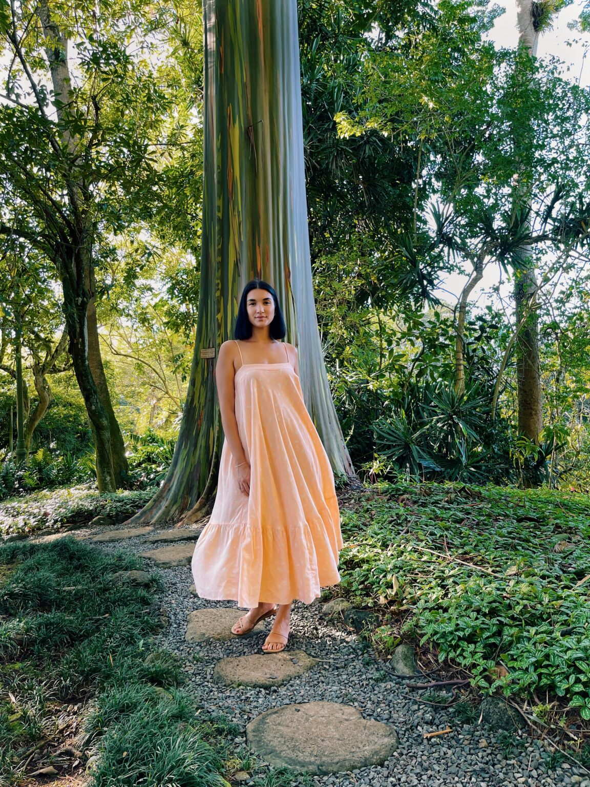 Smultron Dress Smultron Dress