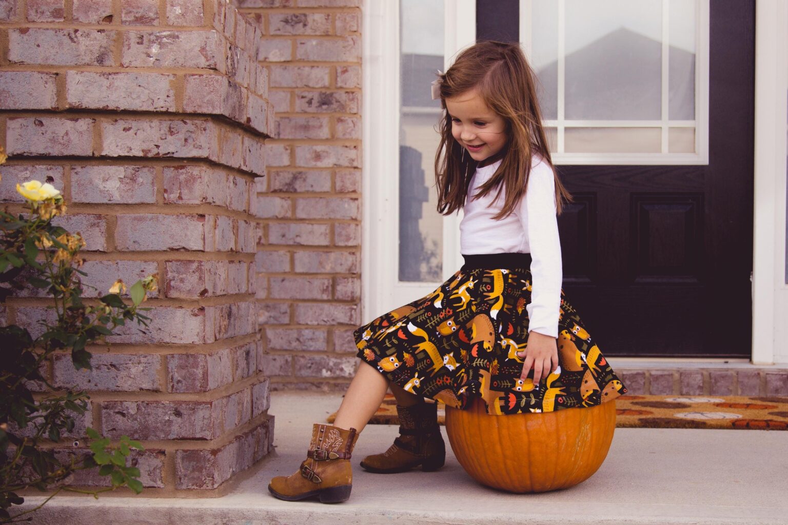 Butterfly Circle Skirt Pattern Butterfly Circle Skirt Pattern